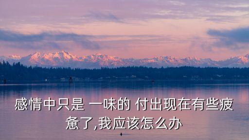 一味的付出