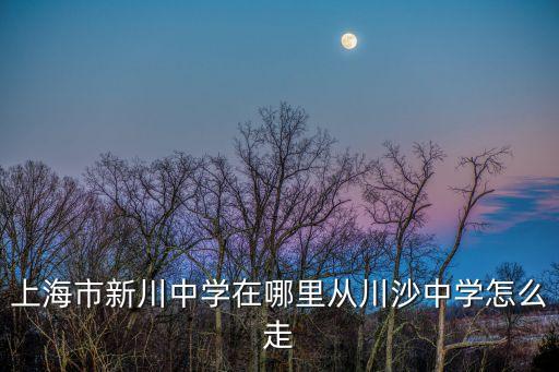 上海市川沙中學南校新校址，內高班上海市川沙中學的具體地理位置是