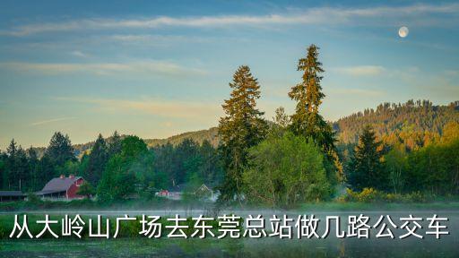 大嶺山廣場(chǎng)到東莞火車站多少公里，從大嶺山廣場(chǎng)去東莞總站做幾路公交車