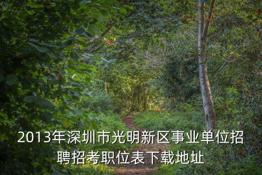 2013年深圳市光明新區(qū)事業(yè)單位招聘招考職位表下載地址