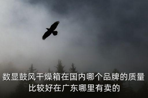 數(shù)顯鼓風(fēng)干燥箱在國內(nèi)哪個品牌的質(zhì)量比較好在廣東哪里有賣的