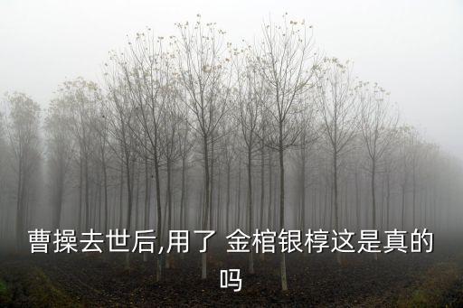 曹操去世后,用了 金棺銀槨這是真的嗎