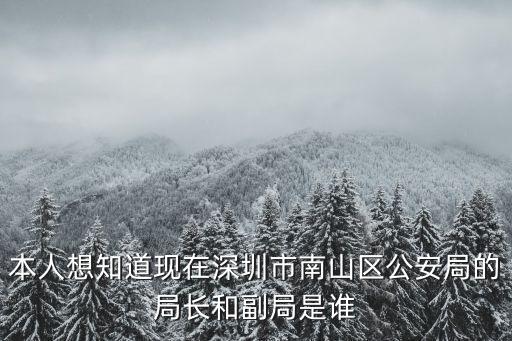 本人想知道現在深圳市南山區公安局的局長和副局是誰