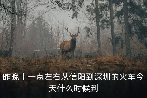 昨晚十一點左右從信陽到深圳的火車今天什么時候到