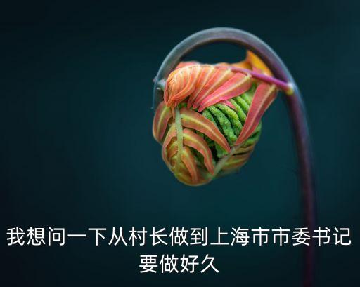 我想問一下從村長做到上海市市委書記要做好久