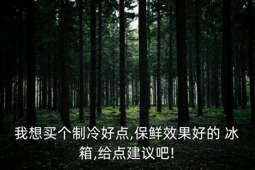 我想買(mǎi)個(gè)制冷好點(diǎn),保鮮效果好的 冰箱,給點(diǎn)建議吧!