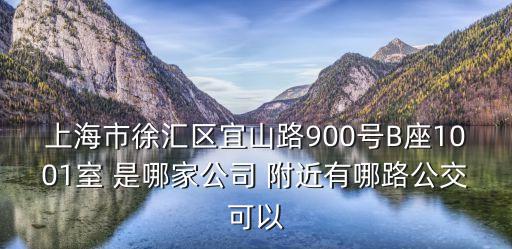 上海市漕河經葡萄緯度科技有限公司，關于上海的說法錯誤的是