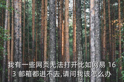 我有一些網頁無法打開比如網易 163 郵箱都進不去,請問我該怎么辦