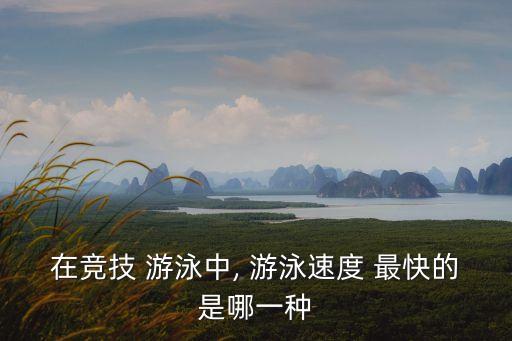 在競技 游泳中, 游泳速度 最快的是哪一種