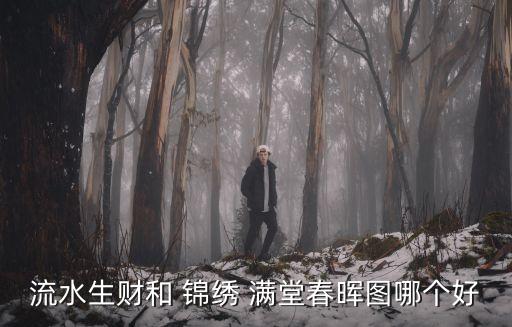 流水生財和 錦繡 滿堂春暉圖哪個好