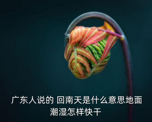 廣東回南天