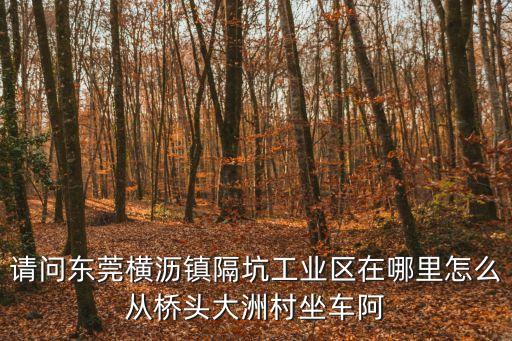 請問東莞橫瀝鎮隔坑工業區在哪里怎么從橋頭大洲村坐車阿