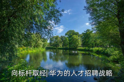 華為人力資源管理,《以奮斗者為本》華為人力資源管理綱要出版