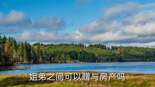 深圳市經濟特區姐弟之間房產贈與規定，姐姐贈與弟弟房子可以嗎需要什么手續
