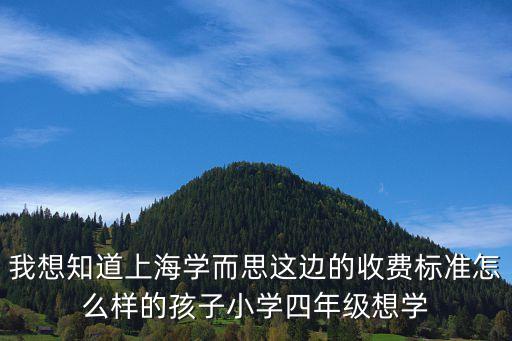 我想知道上海學而思這邊的收費標準怎么樣的孩子小學四年級想學