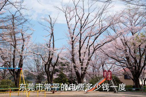 東莞市常平的電費多少錢一度