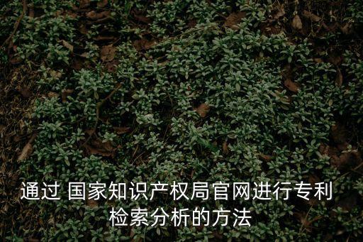 通過 國家知識產權局官網進行專利 檢索分析的方法