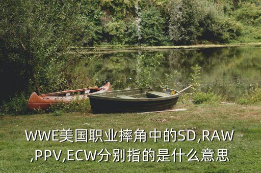 ppv是什么意思,監護儀上的ppv是什么意思