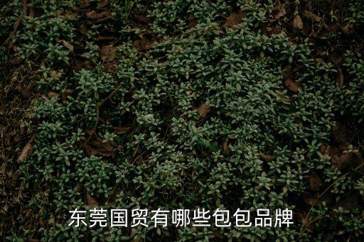 東莞國貿(mào)有哪些包包品牌