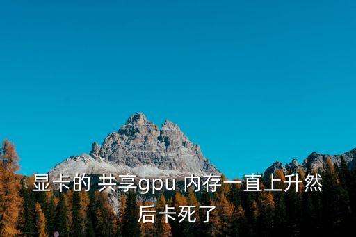 顯卡的 共享gpu 內存一直上升然后卡死了