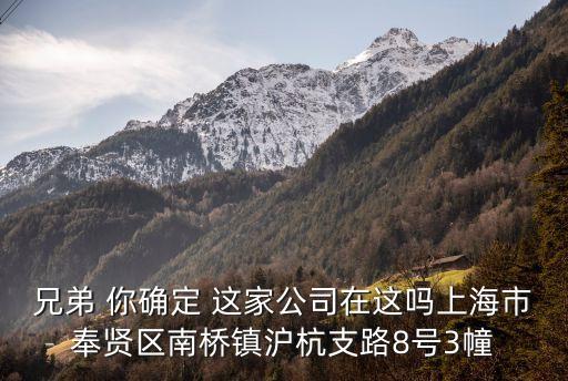 兄弟 你確定 這家公司在這嗎上海市奉賢區南橋鎮滬杭支路8號3幢