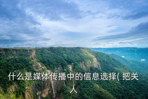 把關人理論,庫爾特盧因把關人理論