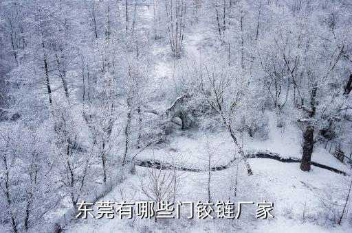 東莞有哪些門鉸鏈廠家