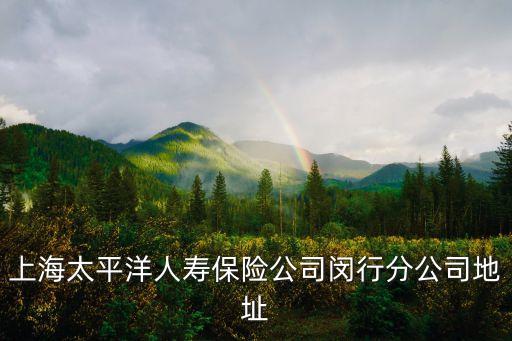 上海市閔行區新龍路548號，上海太平洋人壽保險公司閔行分公司地址