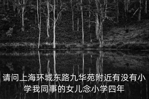 請問上海環城東路九華苑附近有沒有小學我同事的女兒念小學四年