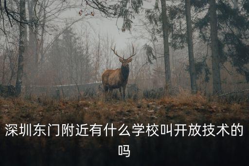 深圳東門(mén)附近有什么學(xué)校叫開(kāi)放技術(shù)的嗎