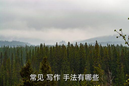 常見(jiàn) 寫作 手法有哪些