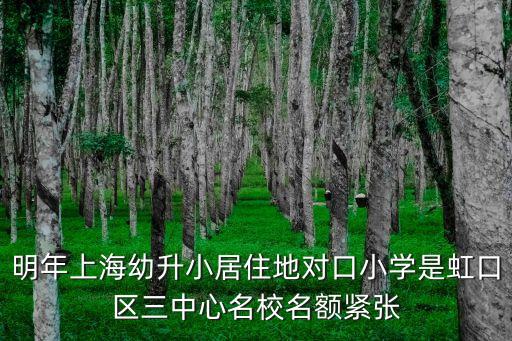 上海市小學入學報名居住地對口問題，上海有房無戶有居住證就進不了對口小學嗎不是符合招生標準嗎