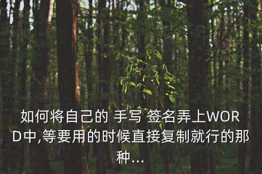 如何將自己的 手寫 簽名弄上WORD中,等要用的時候直接復制就行的那種...