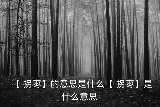 【 拐棗】的意思是什么【 拐棗】是什么意思