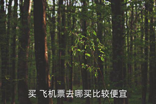 訂購飛機票,網上訂機票流程是什么?