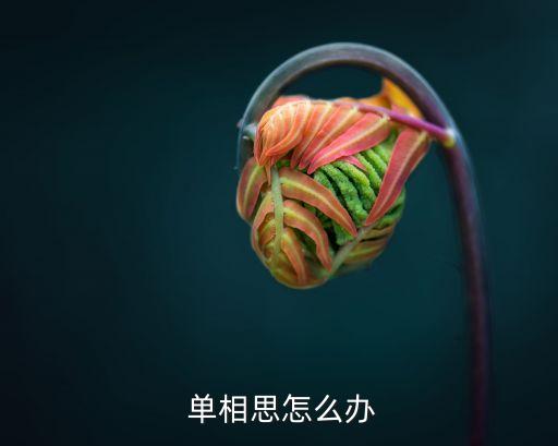 單相思,單相思怎么辦?一文看懂!