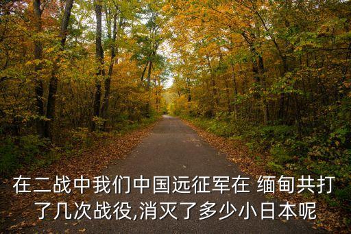 在二戰中我們中國遠征軍在 緬甸共打了幾次戰役,消滅了多少小日本呢