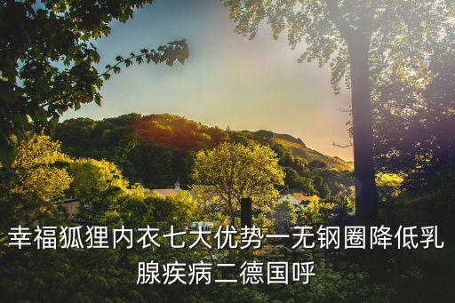 幸福狐貍內(nèi)衣七大優(yōu)勢一無鋼圈降低乳腺疾病二德國呼