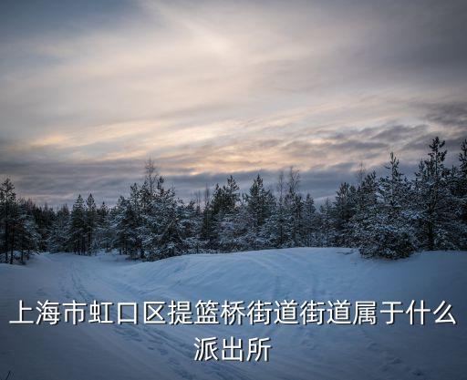 上海市虹口區提籃橋街道街道屬于什么派出所