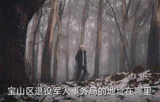 寶山區退役軍人事務局的地址在哪里