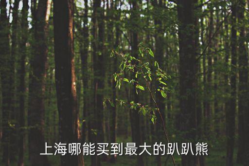 上海市熊，上海湯姆熊靜安區總部地址