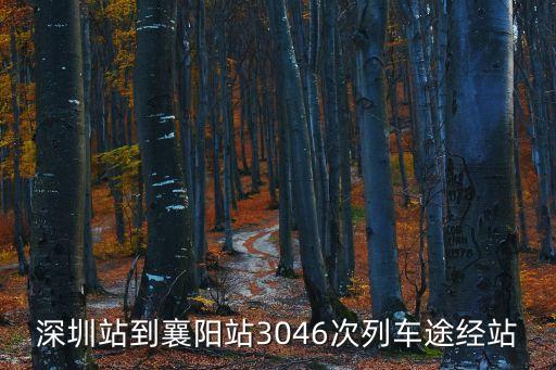 深圳襄陽火車時(shí)刻表，有沒有從深圳到襄樊火車車次