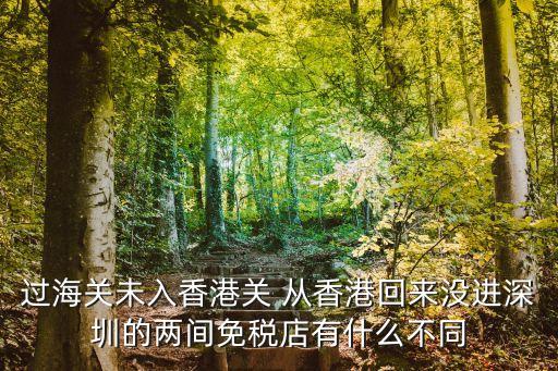 過海關未入香港關 從香港回來沒進深圳的兩間免稅店有什么不同