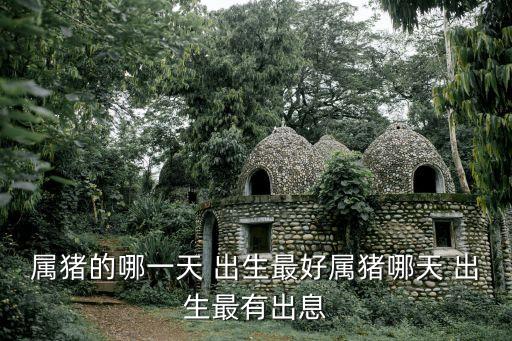 屬豬的哪一天 出生最好屬豬哪天 出生最有出息