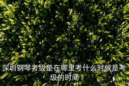 深圳藝校考級，深圳鋼琴考級是在哪里考什么時候是考級的時間
