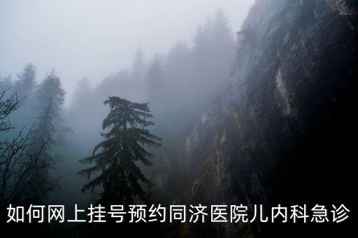 如何網上掛號預約同濟醫院兒內科急診