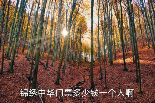錦繡中華門票多少錢一個人啊