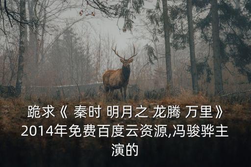 秦時(shí)明月龍騰萬里