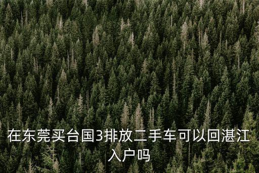 在東莞買(mǎi)臺(tái)國(guó)3排放二手車(chē)可以回湛江入戶嗎