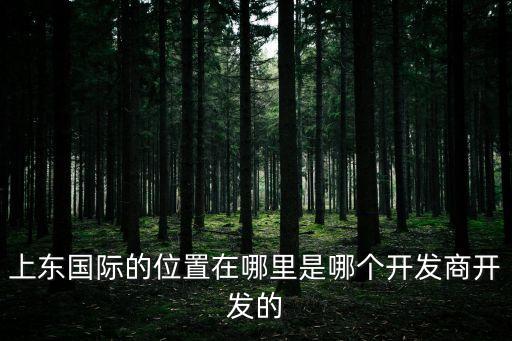 上東國際的位置在哪里是哪個開發商開發的